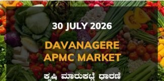 Davanagere APMC Agriculture Market: 30 July 2026 Davanagere APMC Market Rates – 30 July 2026