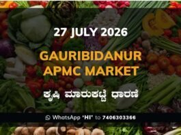 Gauribidanur APMC Market Rates – 27 July 2026