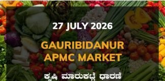 Gauribidanur APMC Agriculture Market: 27 July 2026 Gauribidanur APMC Market Rates – 27 July 2026