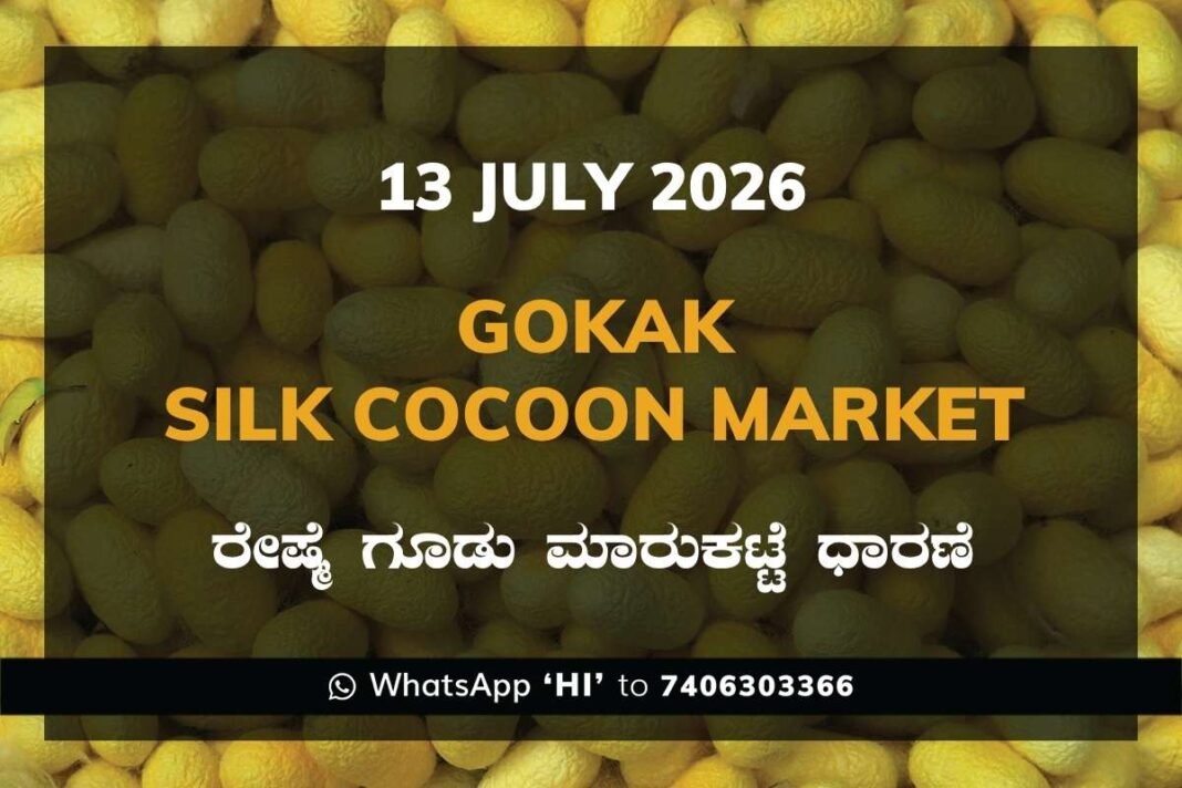 Gokak Silk Cocoon Market Rates – 13 July 2026