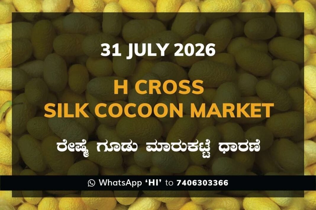 H Cross Silk Cocoon Market Rates – 31 July 2026