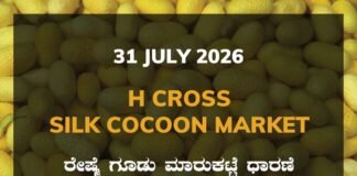 H Cross Silk Cocoon Market – 31 July 2026 H Cross Silk Cocoon Market Rates – 31 July 2026