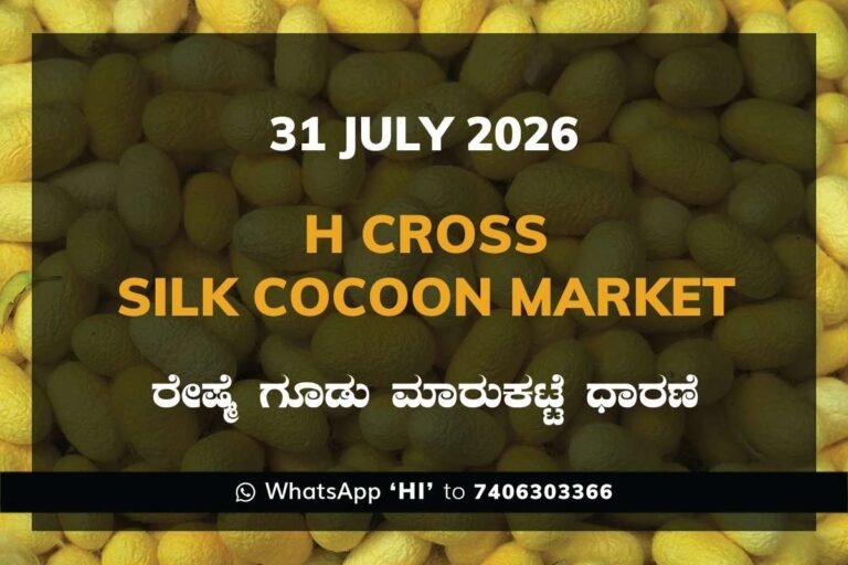 H Cross Silk Cocoon Market Rates – 31 July 2026