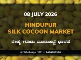 Hindupur Silk Cocoon Market Rates – 08 July 2026