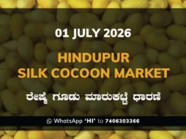 Hindupur Silk Cocoon Market – 1 July 2026 Hindupur Silk Cocoon Market Rates – 1 July 2026