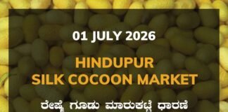 Hindupur Silk Cocoon Market – 1 July 2026 Hindupur Silk Cocoon Market Rates – 1 July 2026