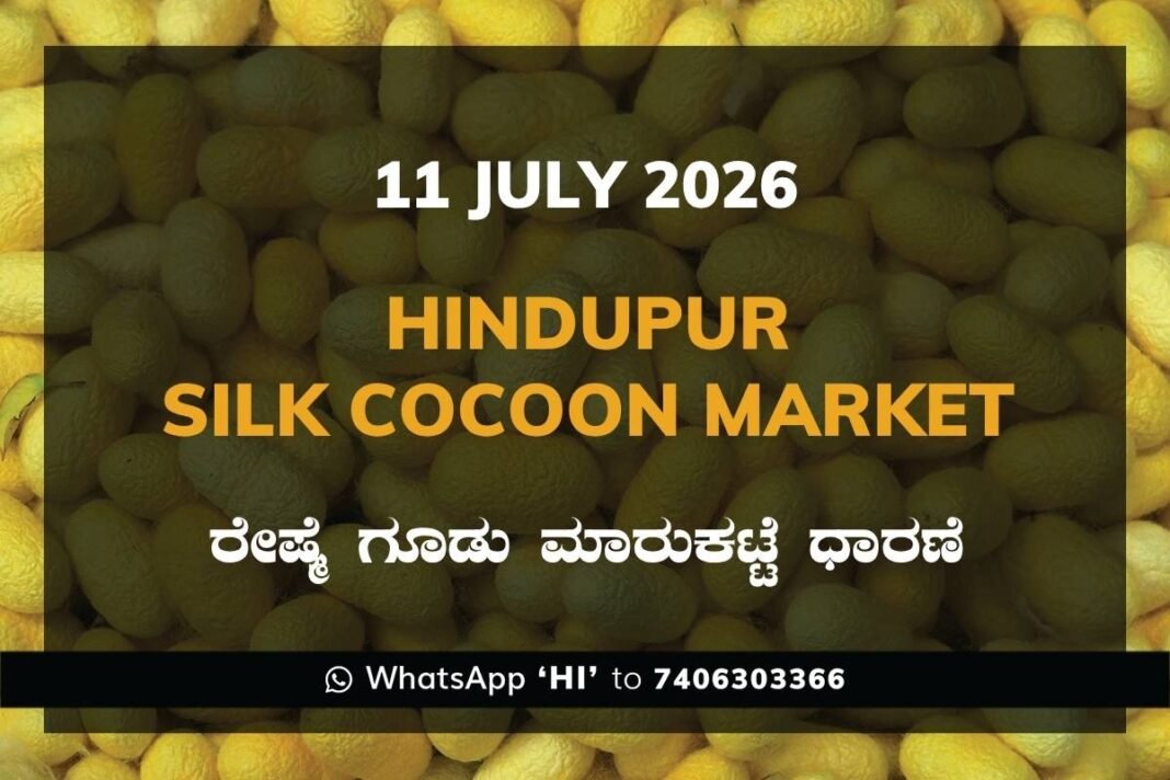 Hindupur Silk Cocoon Market Rates – 11 July 2026