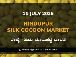 Hindupur Silk Cocoon Market Rates – 11 July 2026