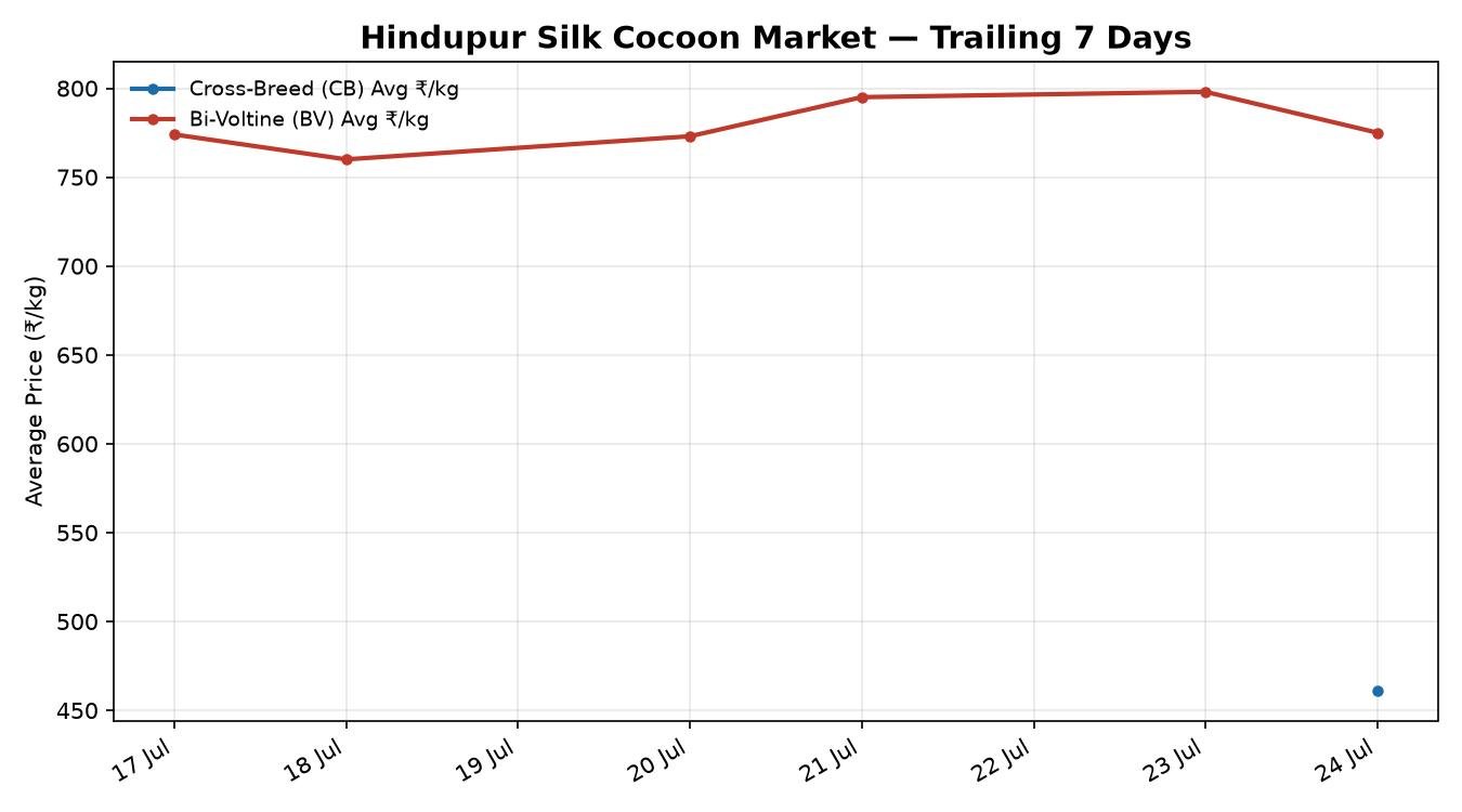 Hindupur Silk Cocoon Market 7-Day Trend – 24 July 2026