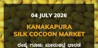 Kanakapura Silk Cocoon Market – 04 July 2026 Kanakapura Silk Cocoon Market Rates – 04 July 2026