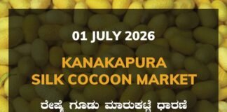 Kanakapura Silk Cocoon Market – 1 July 2026 Kanakapura Silk Cocoon Market Rates – 1 July 2026