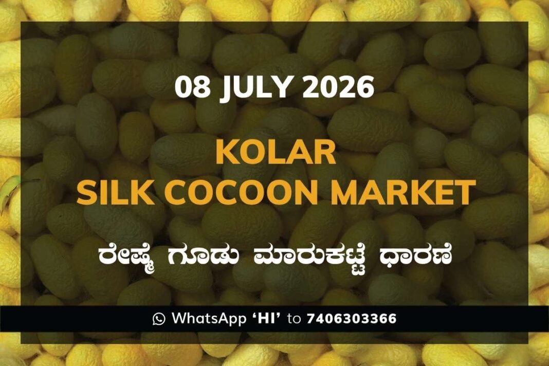 Kolar Silk Cocoon Market Rates – 08 July 2026