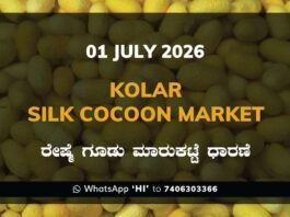 Kolar Silk Cocoon Market – 1 July 2026 Kolar Silk Cocoon Market Rates – 1 July 2026