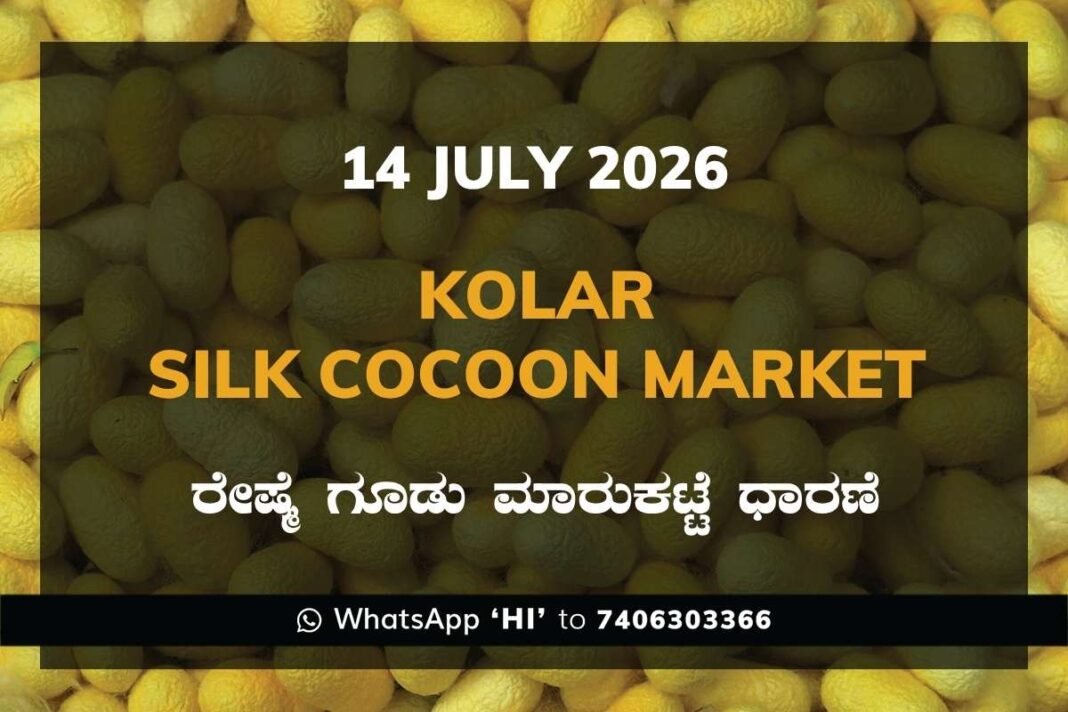Kolar Silk Cocoon Market Rates – 14 July 2026