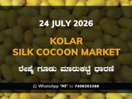 Kolar Silk Cocoon Market Rates – 24 July 2026