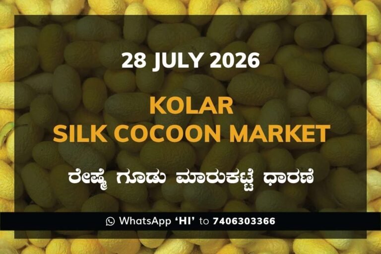 Kolar Silk Cocoon Market Rates – 28 July 2026