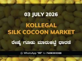 Kollegal Silk Cocoon Market Rates – 03 July 2026