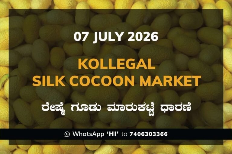 Kollegal Silk Cocoon Market Rates – 07 July 2026