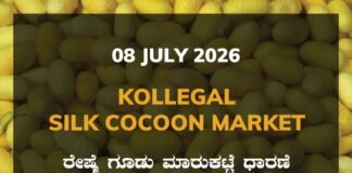 Kollegal Silk Cocoon Market – 08 July 2026 Kollegal Silk Cocoon Market Rates – 08 July 2026