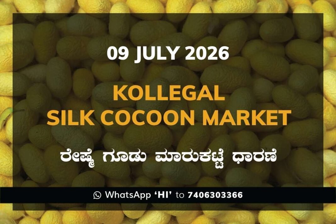 Kollegal Silk Cocoon Market Rates – 09 July 2026