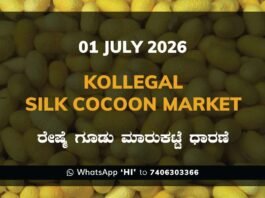 Kollegal Silk Cocoon Market – 1 July 2026 Kollegal Silk Cocoon Market Rates – 1 July 2026