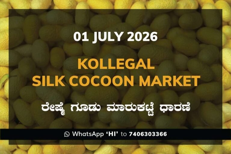 Kollegal Silk Cocoon Market Rates – 1 July 2026