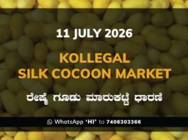 Kollegal Silk Cocoon Market Rates – 11 July 2026
