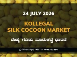 Kollegal Silk Cocoon Market Rates – 24 July 2026