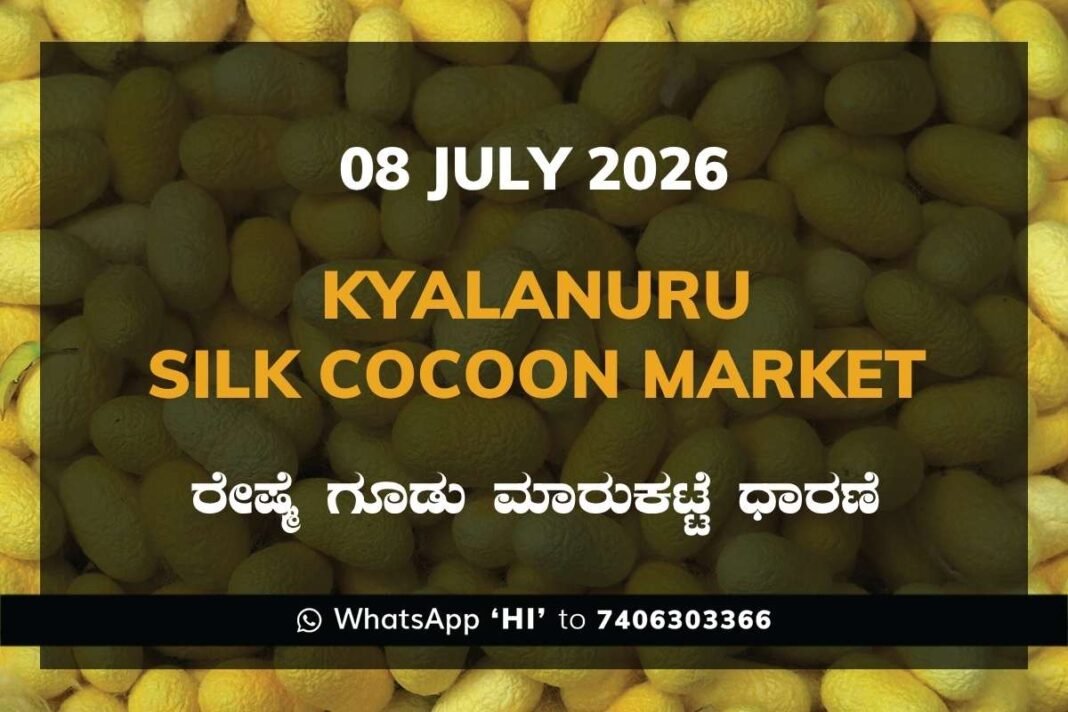 Kyalanuru Silk Cocoon Market Rates – 08 July 2026