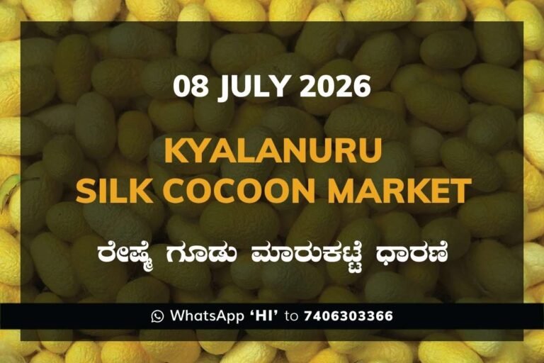 Kyalanuru Silk Cocoon Market Rates – 08 July 2026