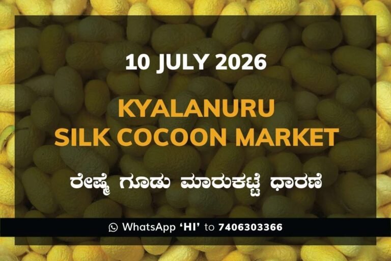 Kyalanuru Silk Cocoon Market Rates – 10 July 2026