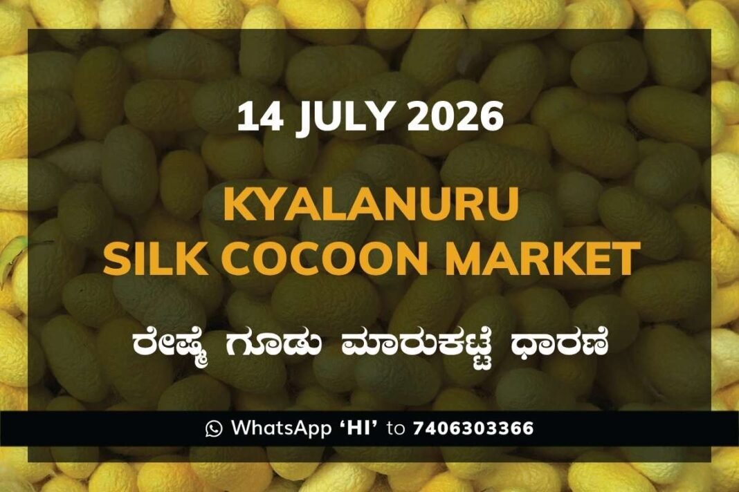 Kyalanuru Silk Cocoon Market Rates – 14 July 2026