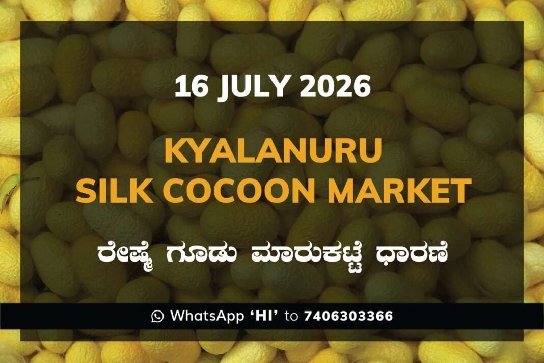 Kyalanuru Silk Cocoon Market Rates – 16 July 2026