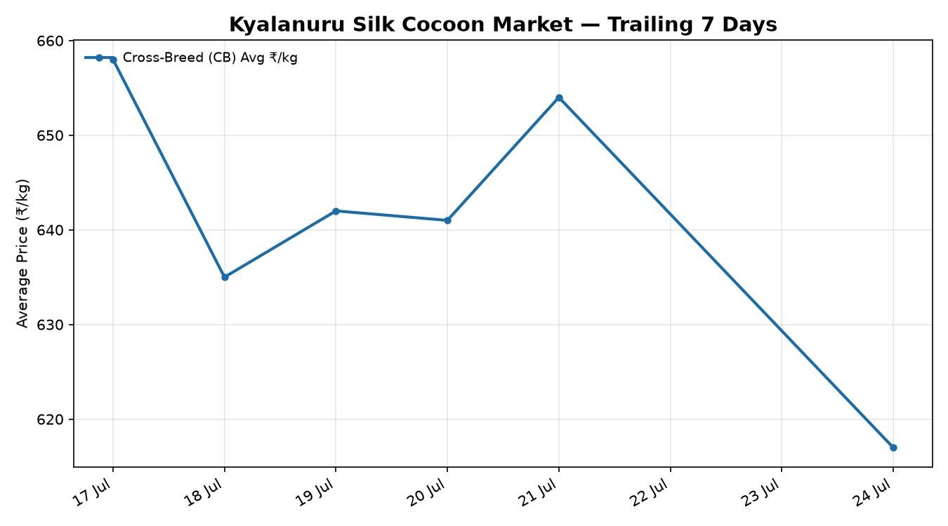 Kyalanuru Silk Cocoon Market 7-Day Trend – 24 July 2026