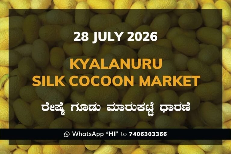 Kyalanuru Silk Cocoon Market Rates – 28 July 2026