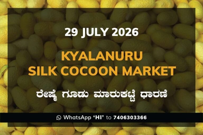 Kyalanuru Silk Cocoon Market Rates – 29 July 2026