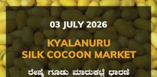 Kyalanuru Silk Cocoon Market – 03 July 2026 Kyalanuru Silk Cocoon Market Rates – 03 July 2026