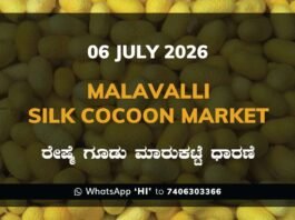 Malavalli Silk Cocoon Market Rates – 06 July 2026