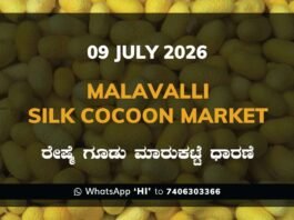 Malavalli Silk Cocoon Market – 09 July 2026 Malavalli Silk Cocoon Market Rates – 09 July 2026