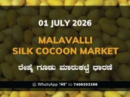 Malavalli Silk Cocoon Market – 1 July 2026 Malavalli Silk Cocoon Market Rates – 1 July 2026