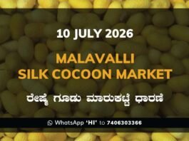 Malavalli Silk Cocoon Market – 10 July 2026 Malavalli Silk Cocoon Market Rates – 10 July 2026
