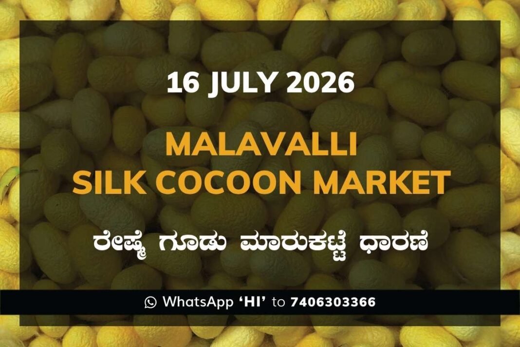 Malavalli Silk Cocoon Market Rates – 16 July 2026