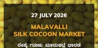 Malavalli Silk Cocoon Market – 27 July 2026 Malavalli Silk Cocoon Market Rates – 27 July 2026