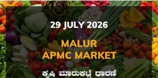 Malur APMC Agriculture Market: 29 July 2026 Malur APMC Market Rates - 29 July 2026