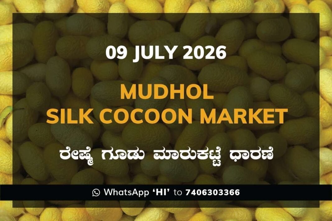 Mudhol Silk Cocoon Market Rates – 09 July 2026