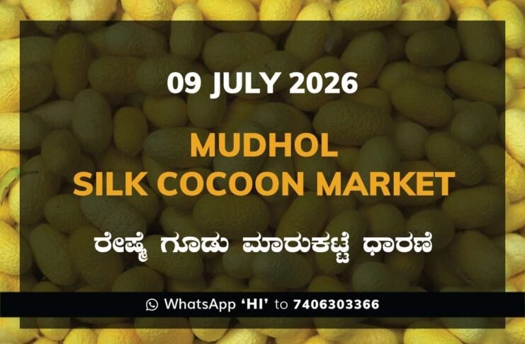 Mudhol Silk Cocoon Market Rates – 09 July 2026