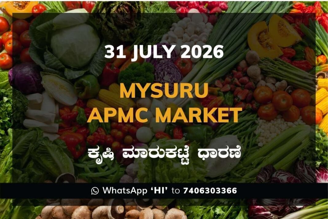 Mysuru APMC Market Rates – 31 July 2026
