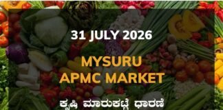 Mysuru APMC Agriculture Market: 31 July 2026 Mysuru APMC Market Rates – 31 July 2026
