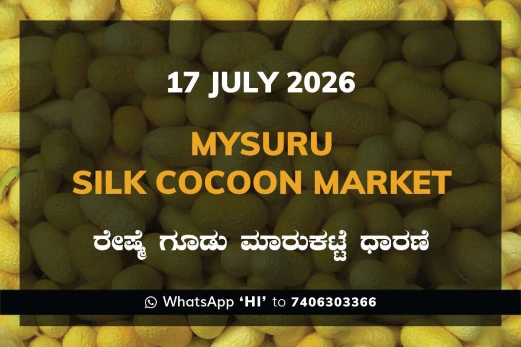 Mysuru Silk Cocoon Market Rates – 17 July 2026