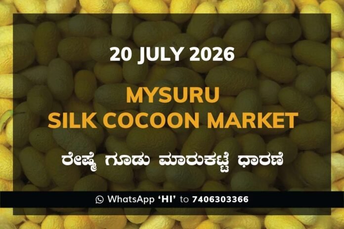 Mysuru Silk Cocoon Market Rates – 20 July 2026